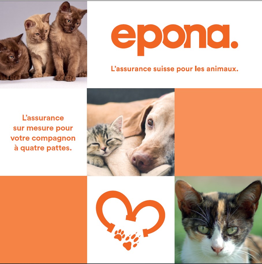 Image Brochure chiens / chats FR