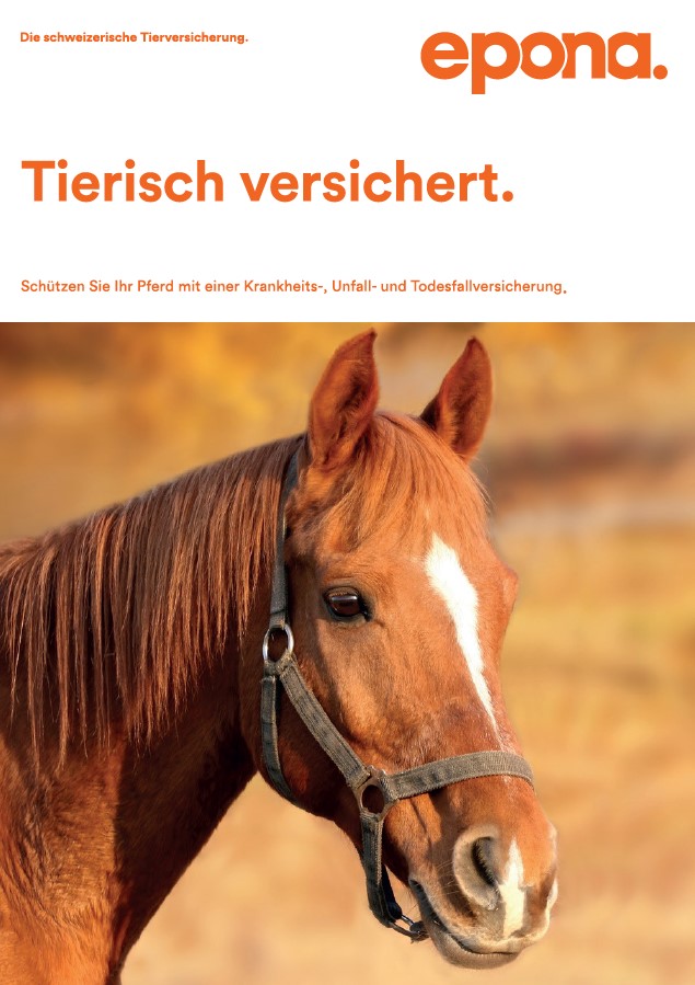 Image Brochure chevaux DE